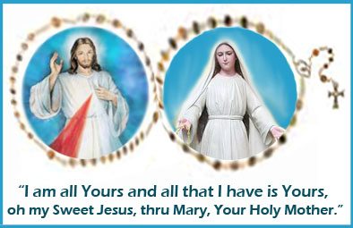 TC NOVENA PHOTO